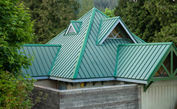 Best Skylight Installation and Repair  in Ingram, TX